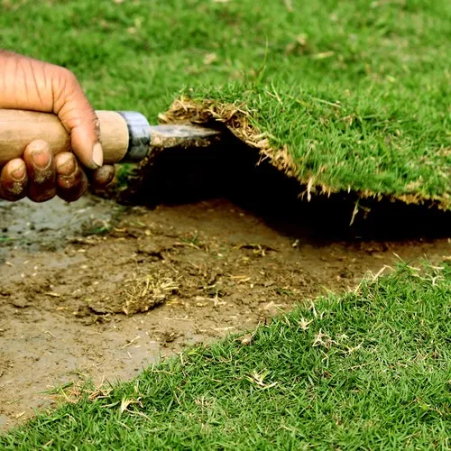 التيل الطبيعي